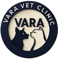 WhatsApp_Image_2025-10-03_at_7.12.22_AM-removebg-preview