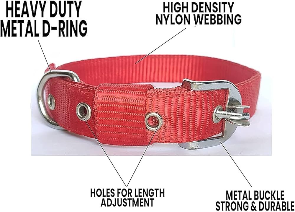 71ETBuhZ17L._AC_UF1000,1000_QL80_.jpg (2)